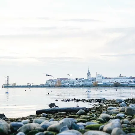 Lägenhet Ferienwohnung Rebholz *